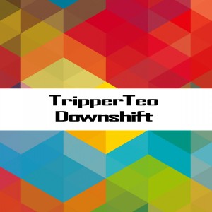 收聽TripperTeo的Downshift歌詞歌曲