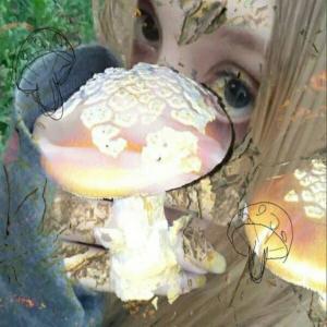 收聽scamscientist的fix that (Explicit)歌詞歌曲