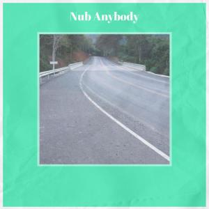 ดาวน์โหลดและฟังเพลง Nub Anybody พร้อมเนื้อเพลงจาก Brat Saca