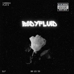 Meesh Thomas的專輯BODYFLUID (feat. KAYAWYA) [Explicit]