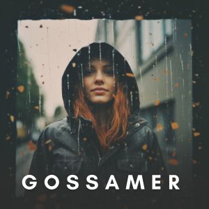 Ambient Music Collective的专辑Gossamer