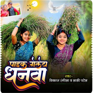 Listen to Paik Geley Dhanva song with lyrics from Vikash Rangila