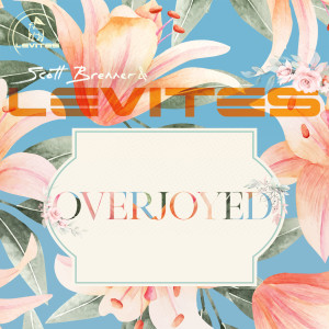 Listen to Overjoyed song with lyrics from Scott Brenner