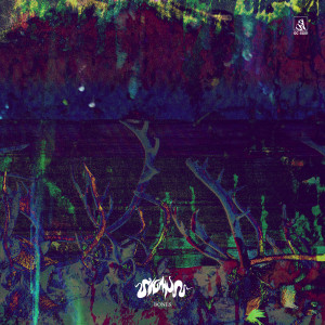Listen to Bones (Remastered) song with lyrics from Sigmun