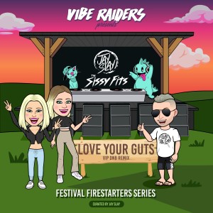 Listen to Love Your Guts (VIP DNB Remix) song with lyrics from Jay Slay