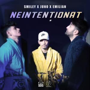 Album Neintentionat. from Smiley