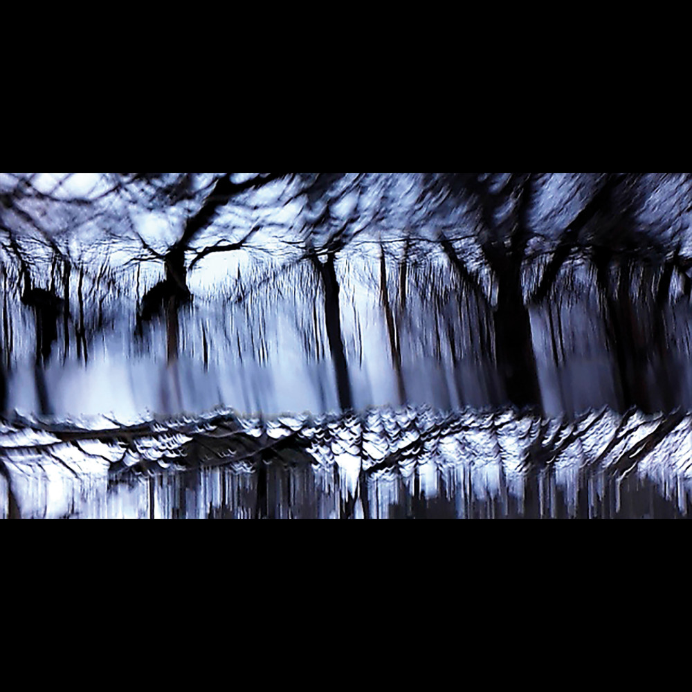 Abscission