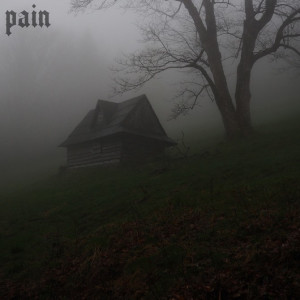 Album Pain oleh Flood