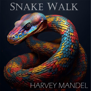 收聽Harvey Mandel的World News Blues歌詞歌曲