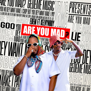 Album Are You Mad (Explicit) from Edem