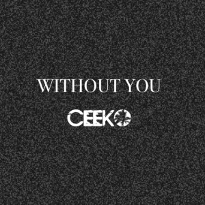 Listen to Without You song with lyrics from Ceeko