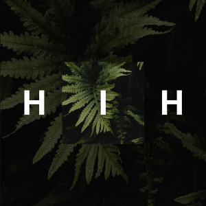 收听Green Butto的Hih歌词歌曲