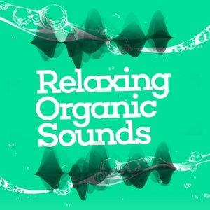 ดาวน์โหลดและฟังเพลง Birds by the Waterside พร้อมเนื้อเพลงจาก The Sounds of Earth Group