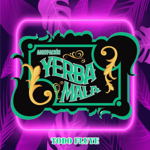 收聽YERBA MALA的Cerveza Cervecita (Live)歌詞歌曲