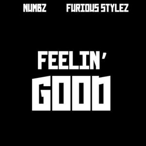收聽Numbz的Feelin' Good歌詞歌曲