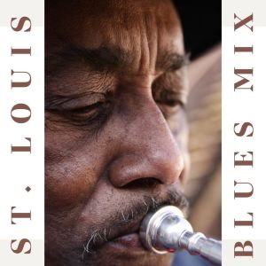 St. Louis Blues Mix dari Various Artists