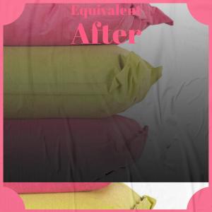 Aneth Wili的专辑Equivalent After
