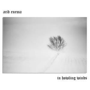 Acid Enema的專輯In Howling Winds