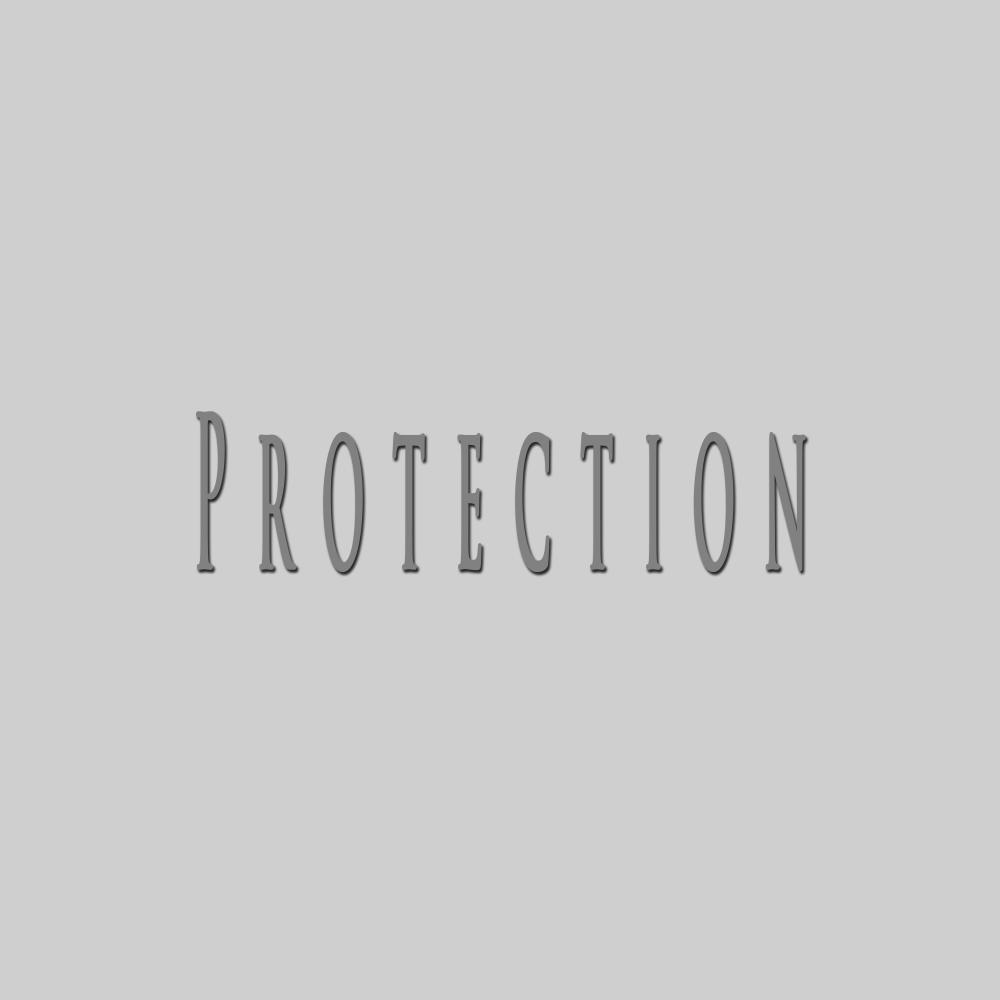 Protection (feat. Leveller Beats)