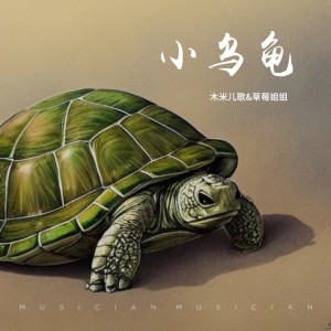 Listen to 小乌龟 song with lyrics from 木米儿歌