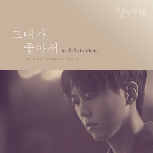 Listen to 그대가 좋아서 (Instrumental Version) song with lyrics from 은희