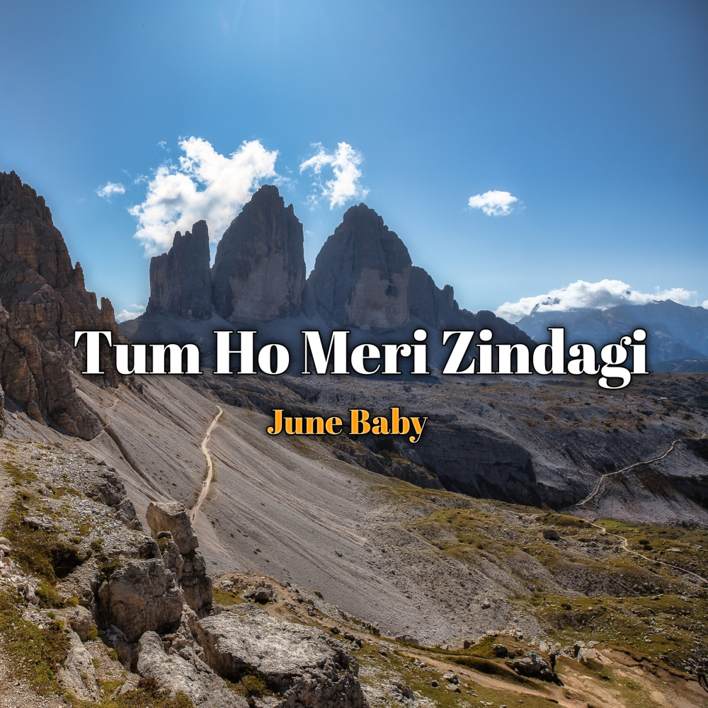 Tum Ho Meri Zindagi