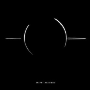 收聽Skynet的Silverback (Remix)歌詞歌曲