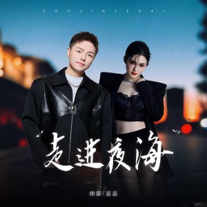 Dengarkan lagu 走进夜海 nyanyian 帅霖 dengan lirik