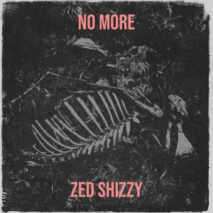 Listen to No More song with lyrics from Zed Shizzy