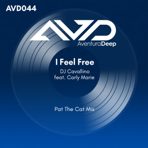 ดาวน์โหลดและฟังเพลง I Feel Free (Pat the Cat Chillin' Rework) พร้อมเนื้อเพลงจาก DJ Cavallino