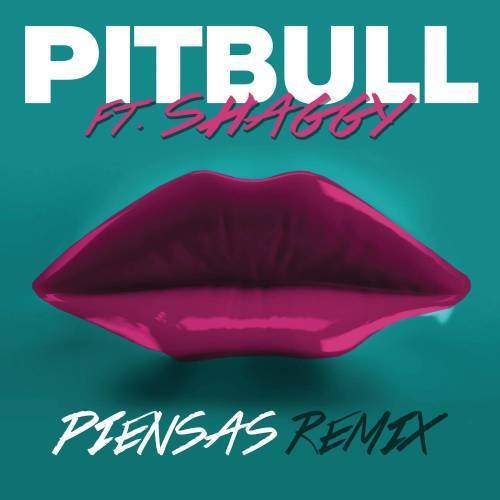 Piensas (Dile la Verdad) (Remix)