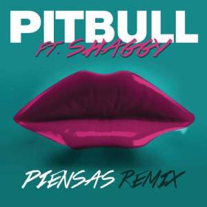 Pitbull的專輯Piensas (Dile La Verdad) [Remix]