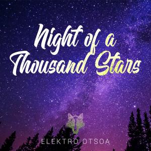 Listen to Night of a Thousand Stars song with lyrics from Elektro Otsoa