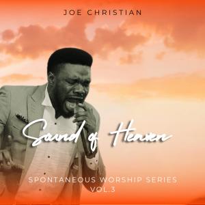 Listen to Medley: You are Holy oh so Holy / Only you art Holy / Holy Holy / I enter the Holies of Holies (feat. Joy Joseph) (Live) song with lyrics from Joe Christian