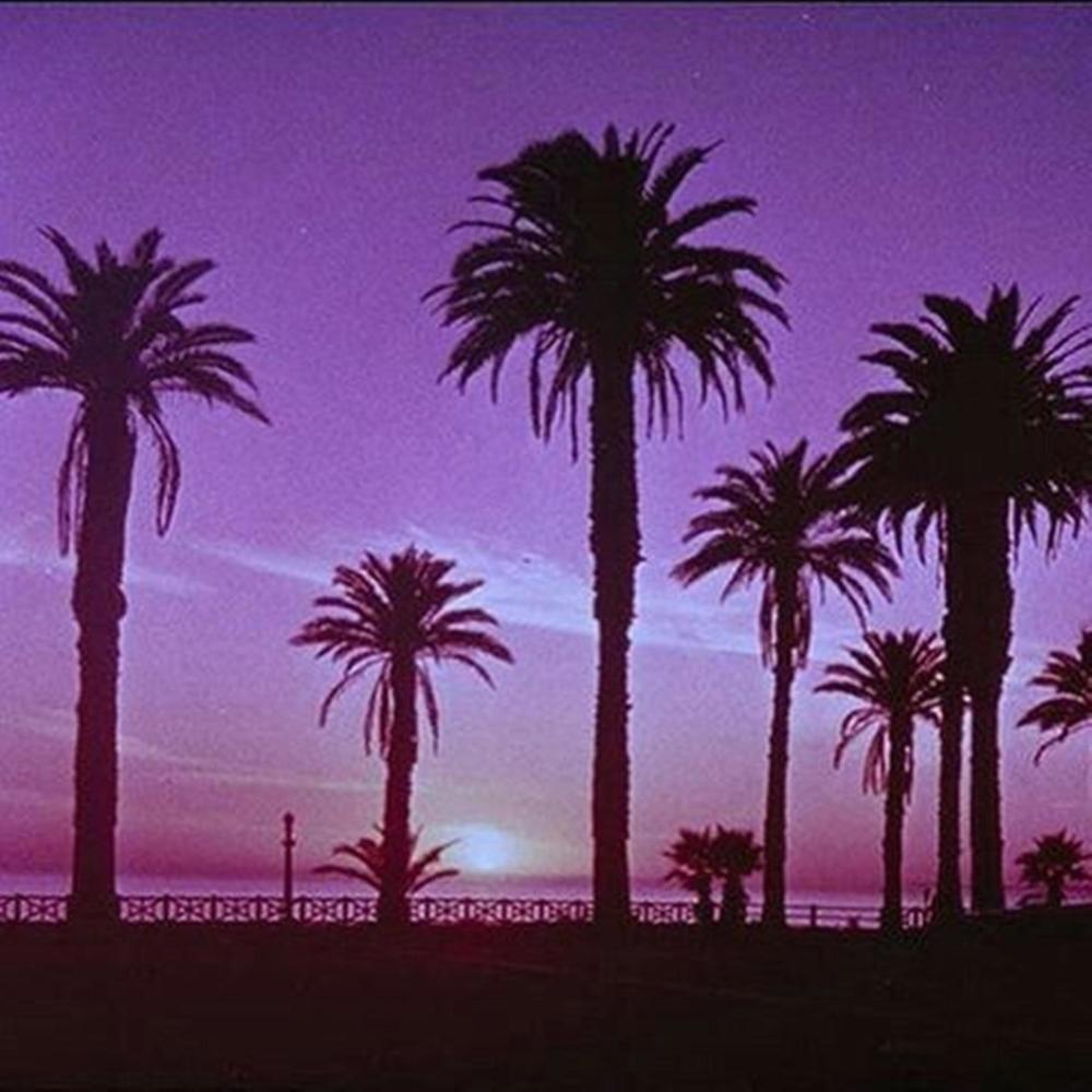 TRAPPIN IN MIAMI (Explicit)