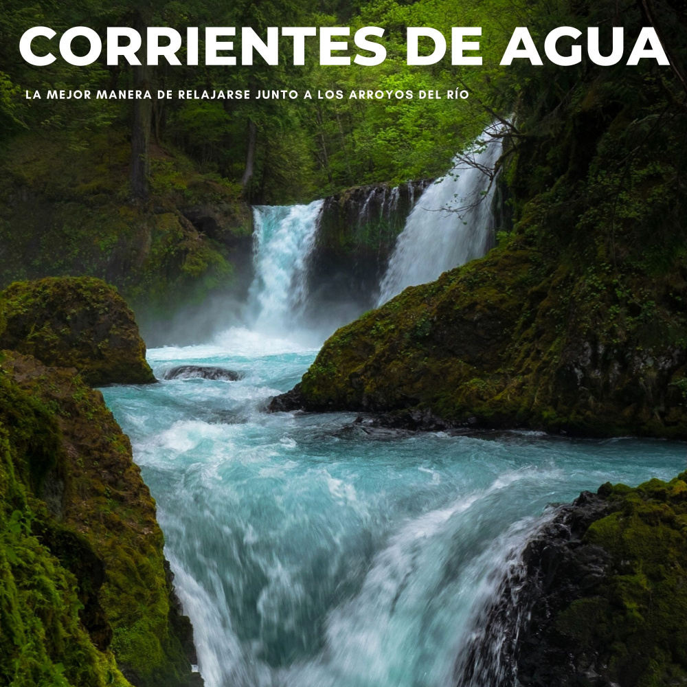 La Paz Tranquilizadora