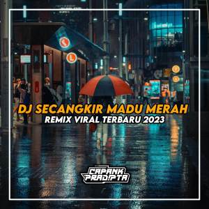 Listen to Secangkir Madu Merah Remix song with lyrics from CAPANK PRADIPTA