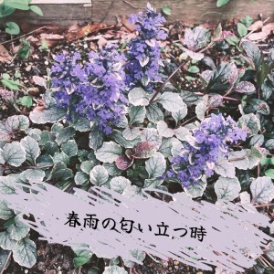 收聽MOL的春雨の匂い立つ時 (feat. 初音ミク)歌詞歌曲