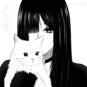 Listen to 永生花 song with lyrics from zhou6