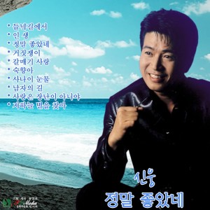 Album 정말 좋았네 from 신웅