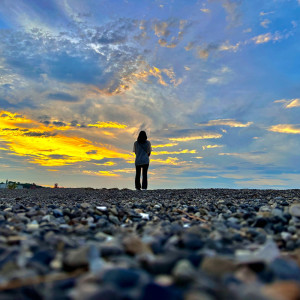 Album You are leaving from Trn