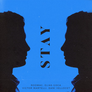 Album Stay from 