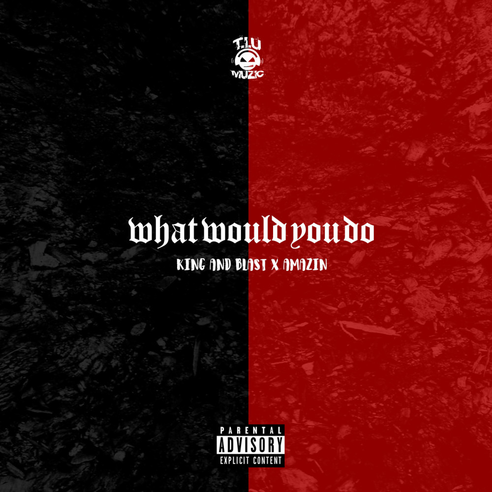 What Would You Do (feat. Amazin) (Explicit)