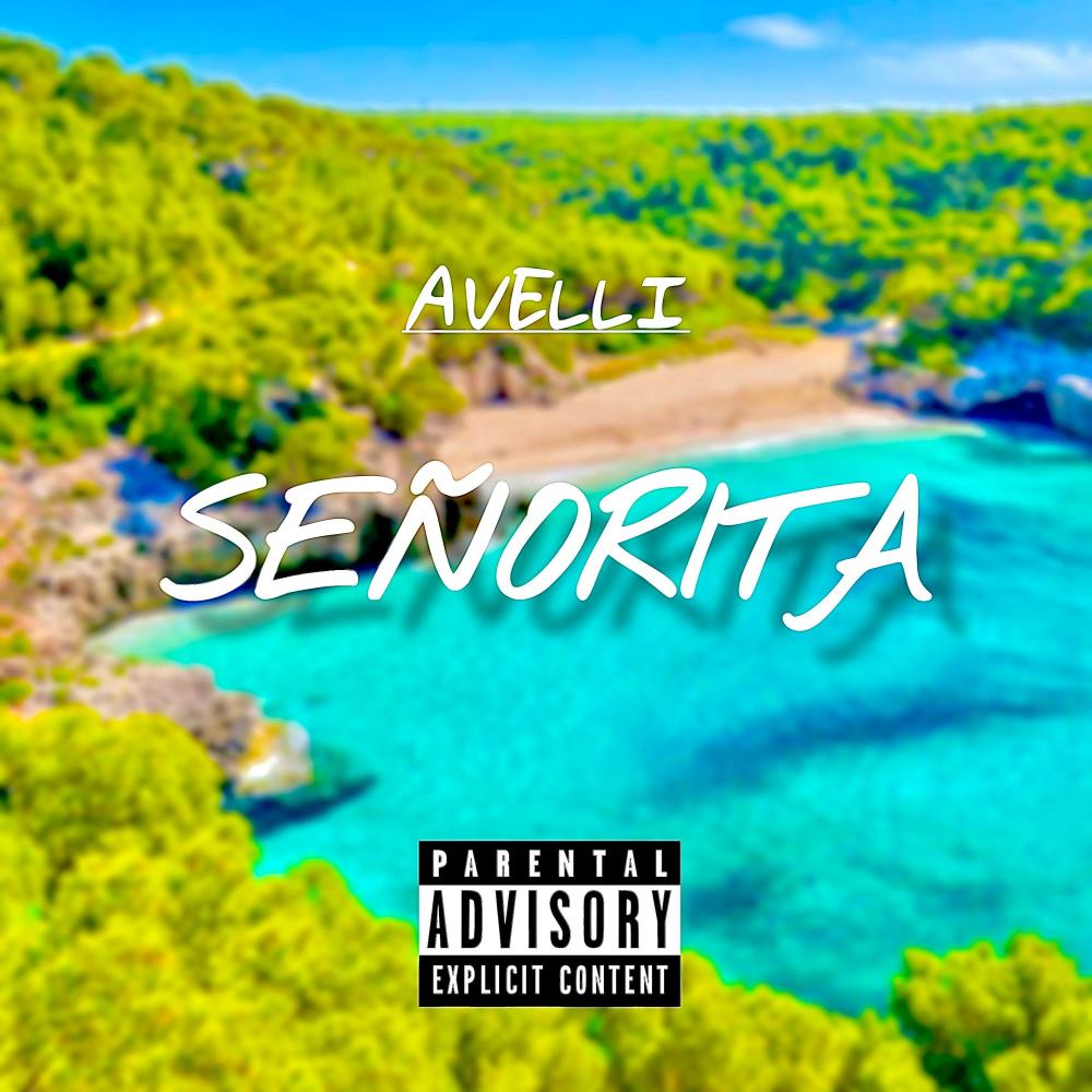 Señorita (Explicit)