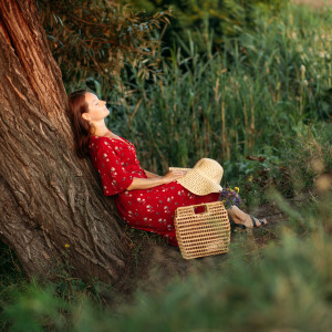 Woodland Relaxation Retreat: Unwind with Nature's Soothing Forest Melodies