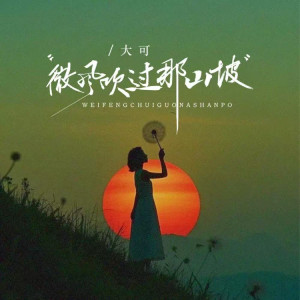 大可的专辑微风吹过那山坡