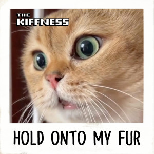 The Kiffness的专辑Hold Onto My Fur