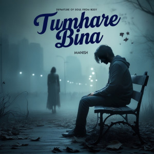 Album Tumhare Bina from 