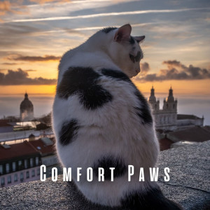 School of Rain的專輯Comfort Paws: Rain and Crystal Bowl Harmonies for Pets