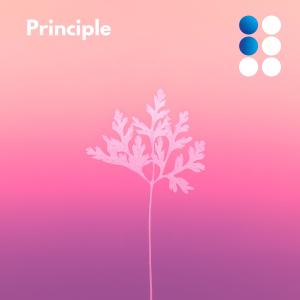 Listen to Principle song with lyrics from BAUM